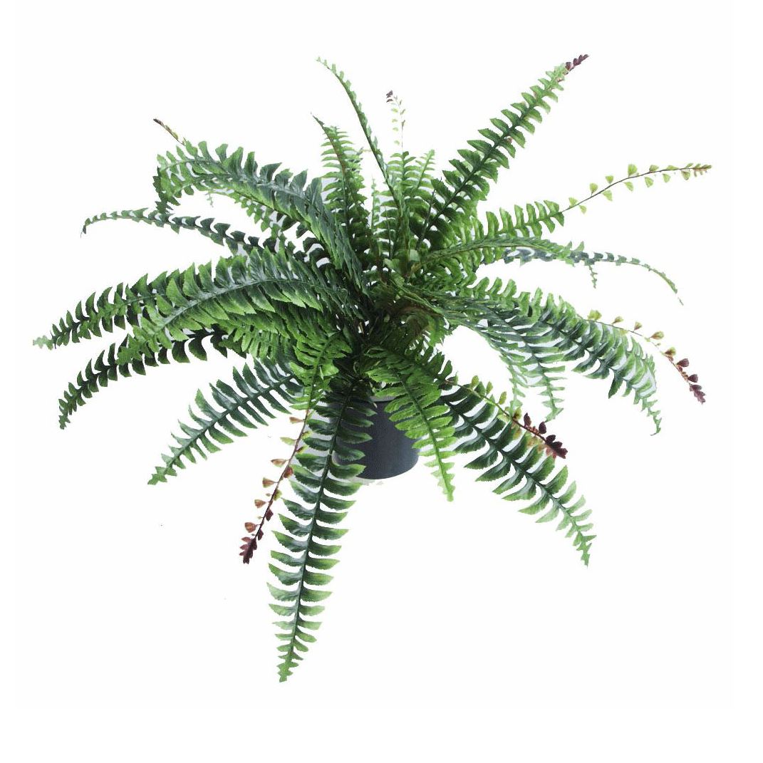 Large Artificial Fern Plant Pot 60cm Boston Fern Faux House Plants Botanik-0