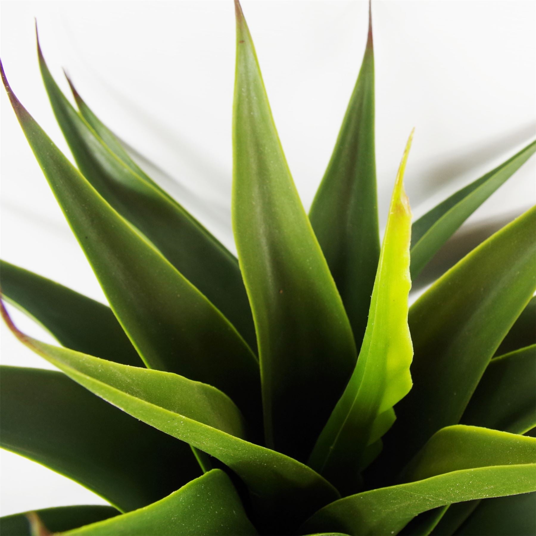 Artificial Yukka Tropical House Plant Plastic Pot 55cm Faux House Plants Botanik-1