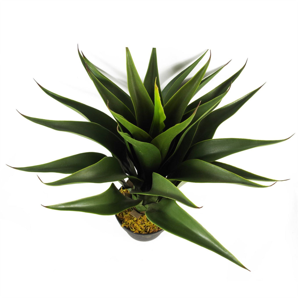 Artificial Yukka Tropical House Plant Plastic Pot 55cm Faux House Plants Botanik-3