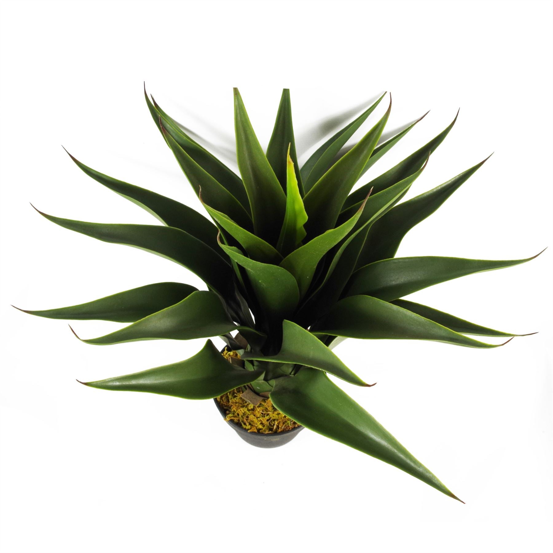 Artificial Yukka Tropical House Plant Plastic Pot 55cm Faux House Plants Botanik-3