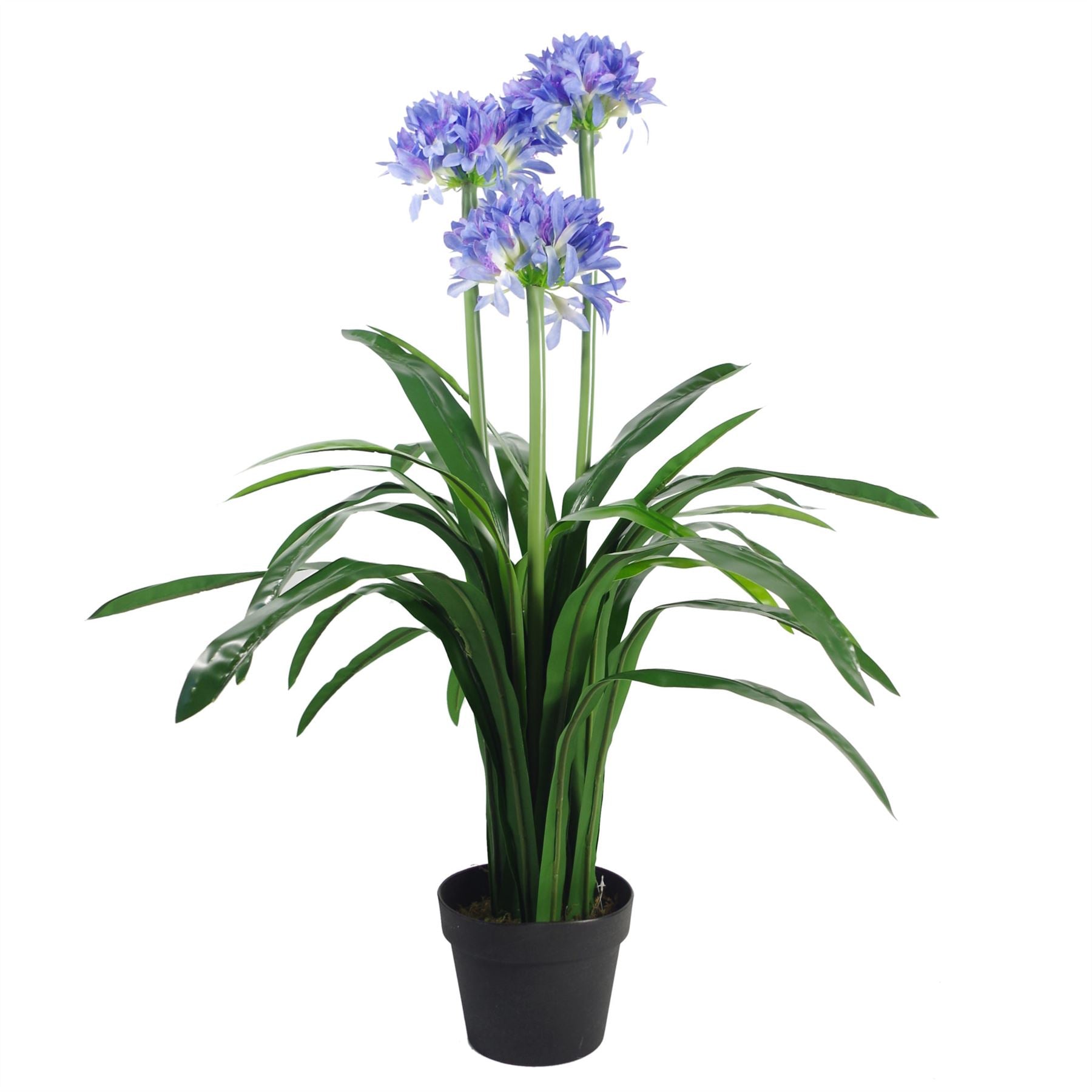 Agapanthus Blue Flower Plant Realistic Faux House Plants 90cm Botanik-0