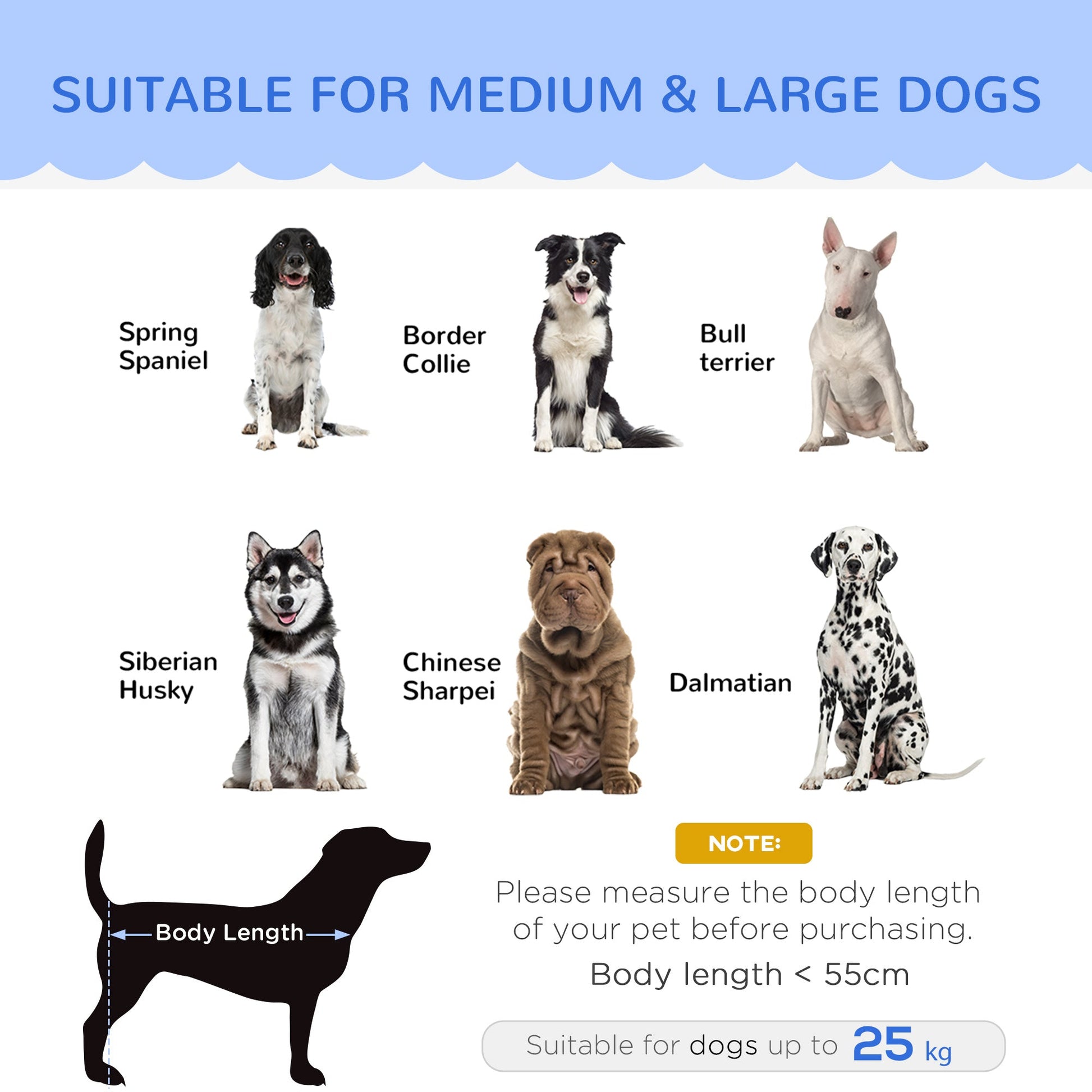 Dog Sofa for Medium Large Dogs, Shell Shaped Pet Couch Bed with Legs Cushion Washable Cover, Grey-3