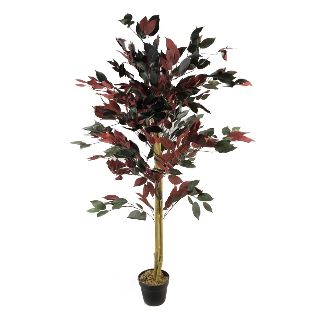 Artificial Ficus Tree Plant Capensia Ficus 120cm Realistic Faux Plants Botanik-3